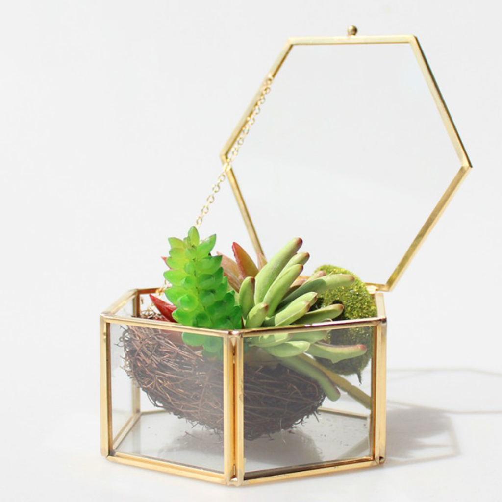 Hexagon Brass Glass Geometric Terrarium Succulent Planter Wedding Favors 12 5 X 12 5 X 6 Cm B Blesiya